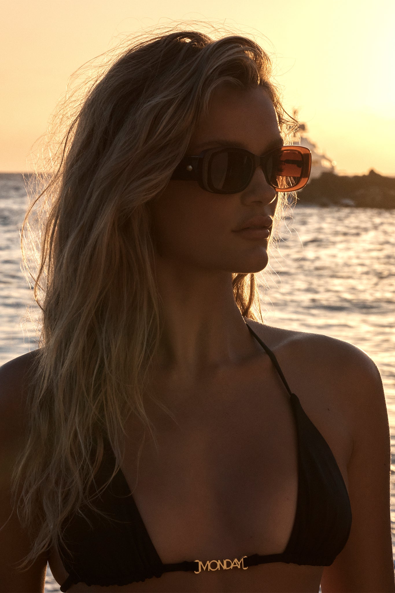 Alternative view of Piana Sunglasses - Brown